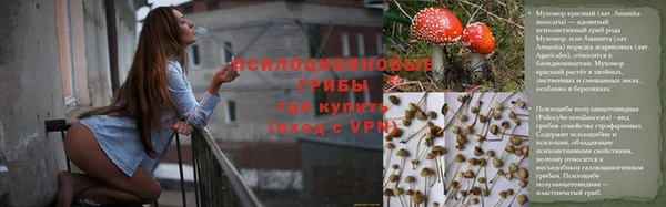 каннабис Великий Новгород