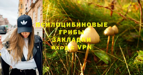 крисы Кинешма