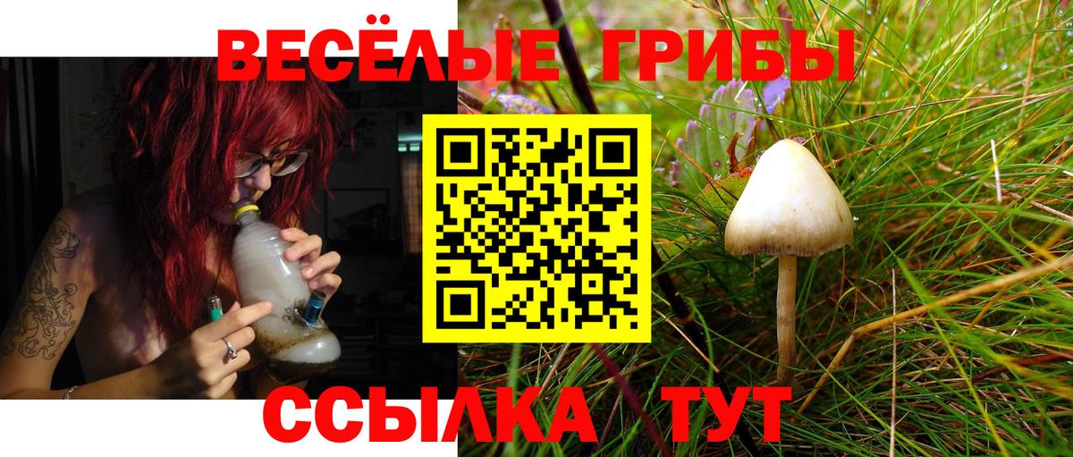 Моздок  Галлюциногенные грибы мицелий  Вход с VPN 
