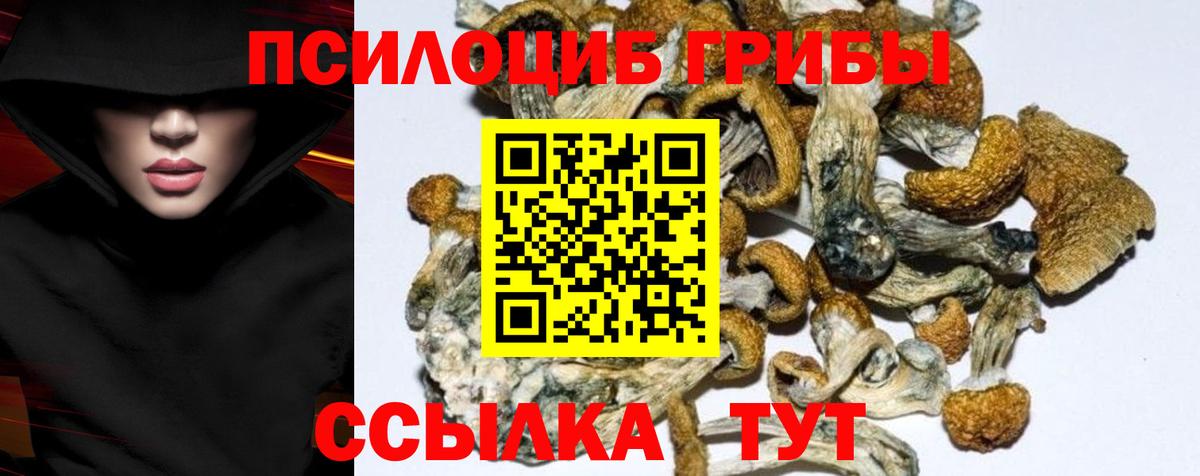 Псилоцибиновые грибы мухоморы Моздок