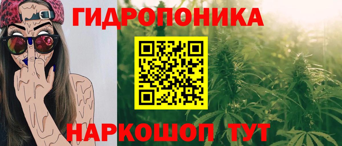 Марихуана THC 21%  Вход с VPN  Канабис White Widow  Моздок 